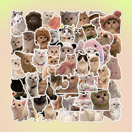 Cats In Different Hats Stickers Pack - 30pcs - Lil Wild Pets