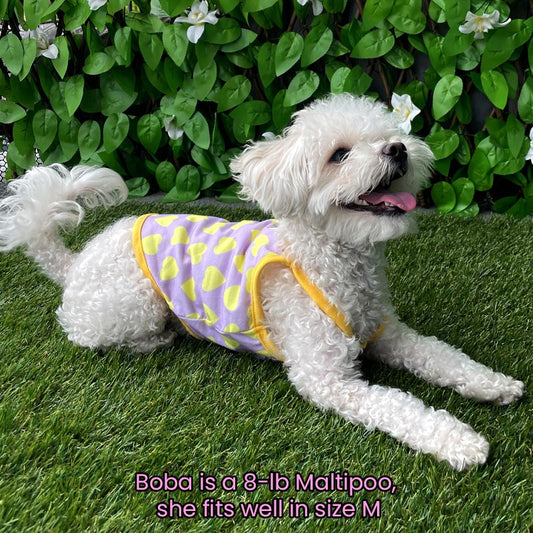 Purple Heart Summer Tank Top for Cats and Dogs - Lil Wild Pets