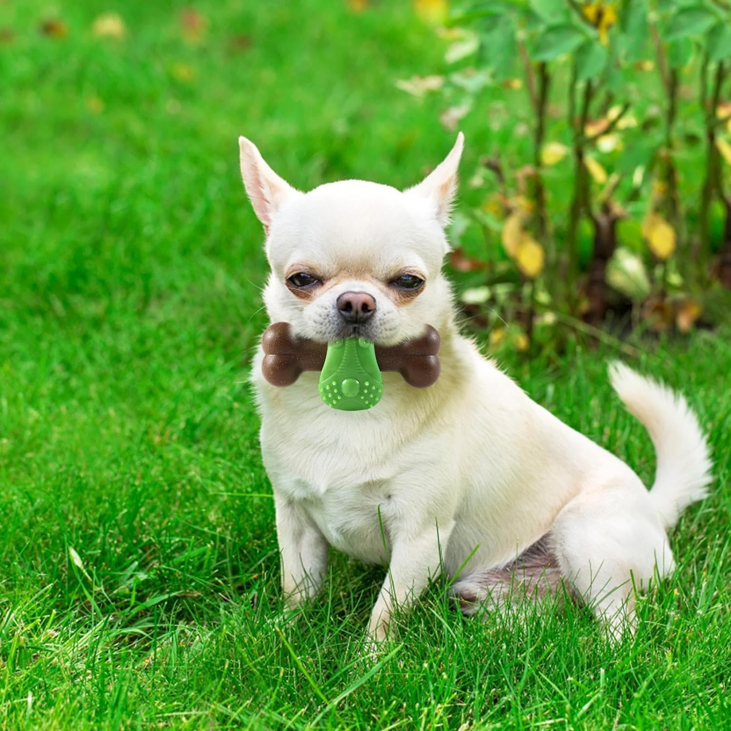 Teeth-cleaning Squeaky Interactive Dog Chew Toy