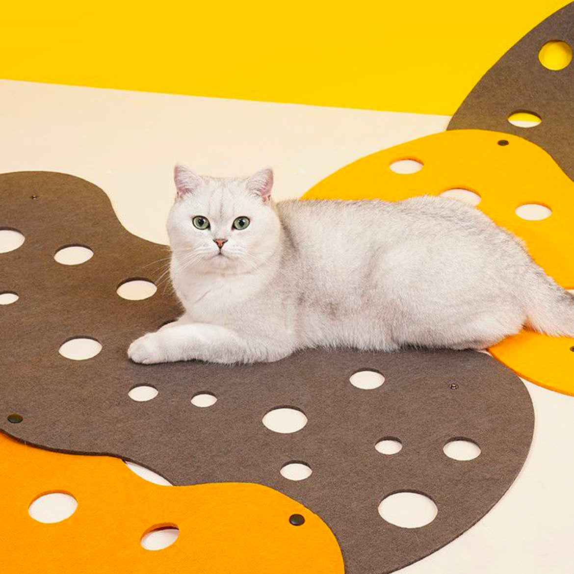 Cat puzzle shop mat