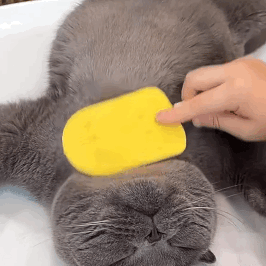 2-in-1 Ice Cream Tongue Dual-Sided Silicone Pet Hair Brush & Remover