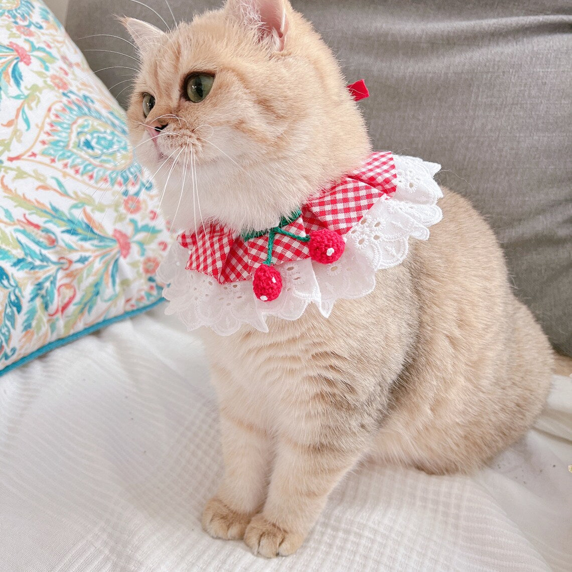 Plaid Cherry Lace Ruffled Collar for Cats & Dogs - Lil Wild Pets