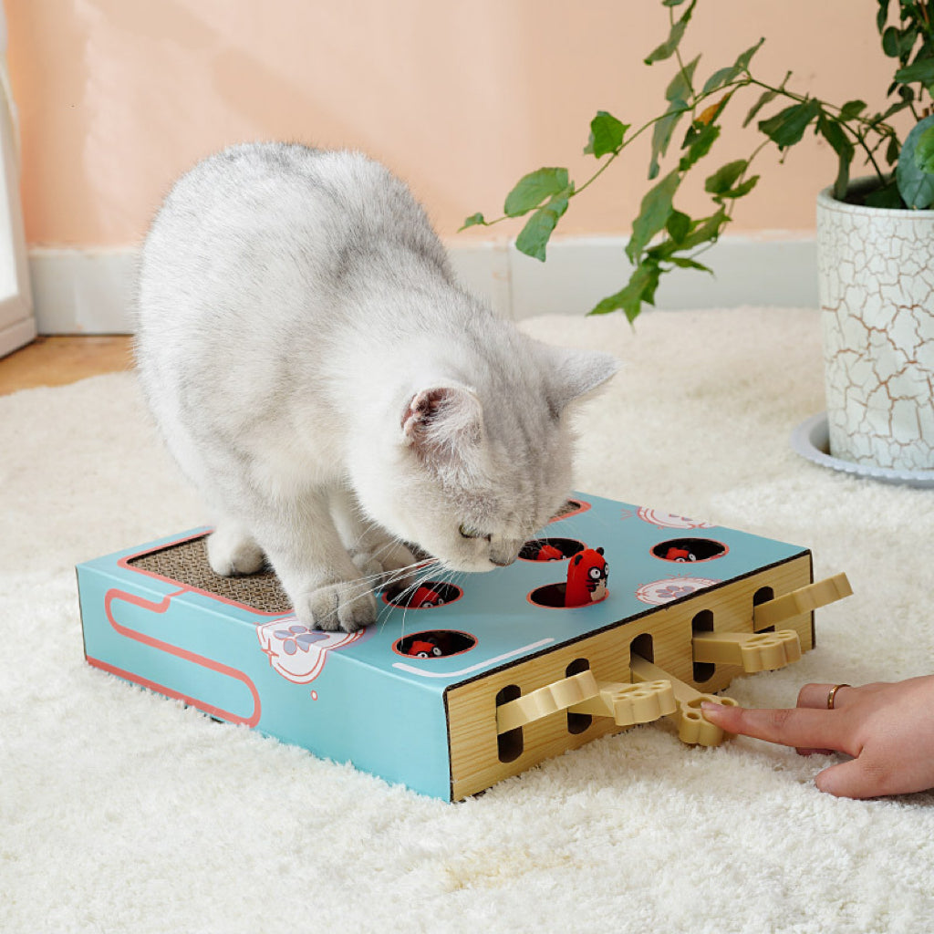 Whack-A-Mole Cat Interactive Game Toy With Scratching Pad - Lil Wild Pets