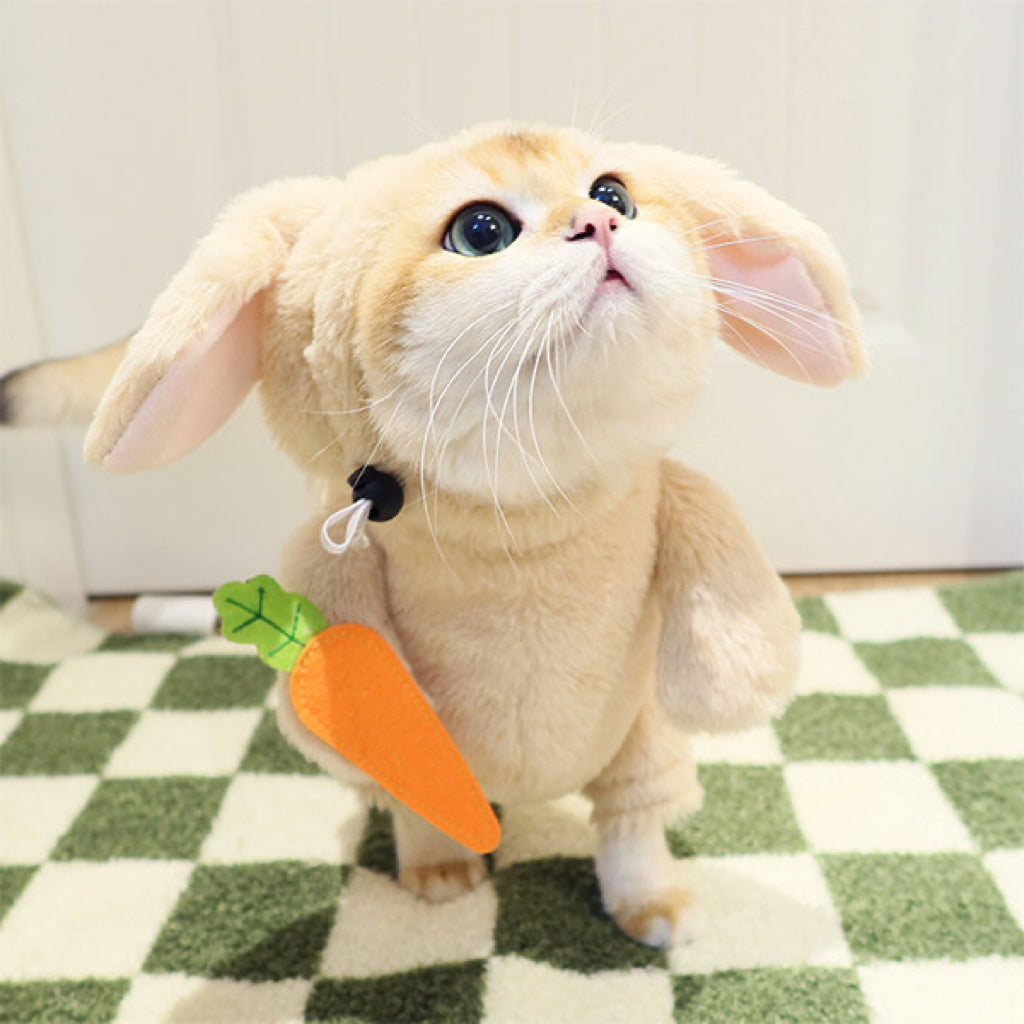 Cat easter clearance costume