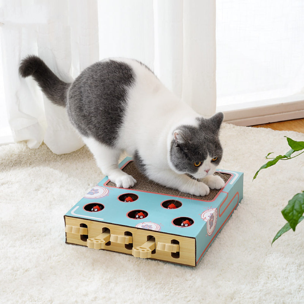 Whack-A-Mole Cat Interactive Game Toy With Scratching Pad - Lil Wild Pets