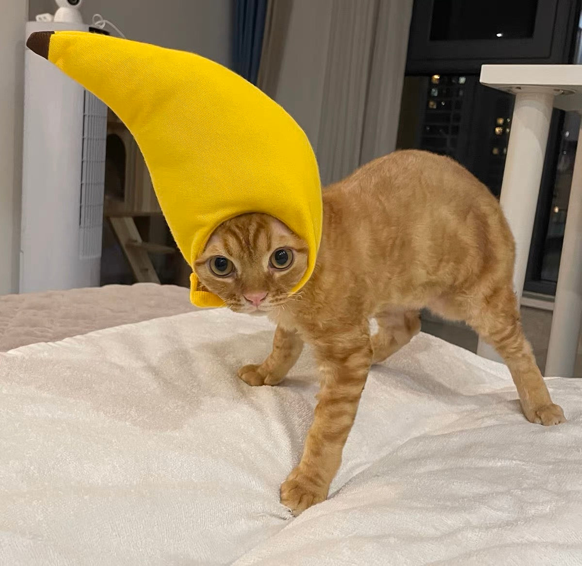 Banana Pet Adjustable Hat for Cats and Dogs