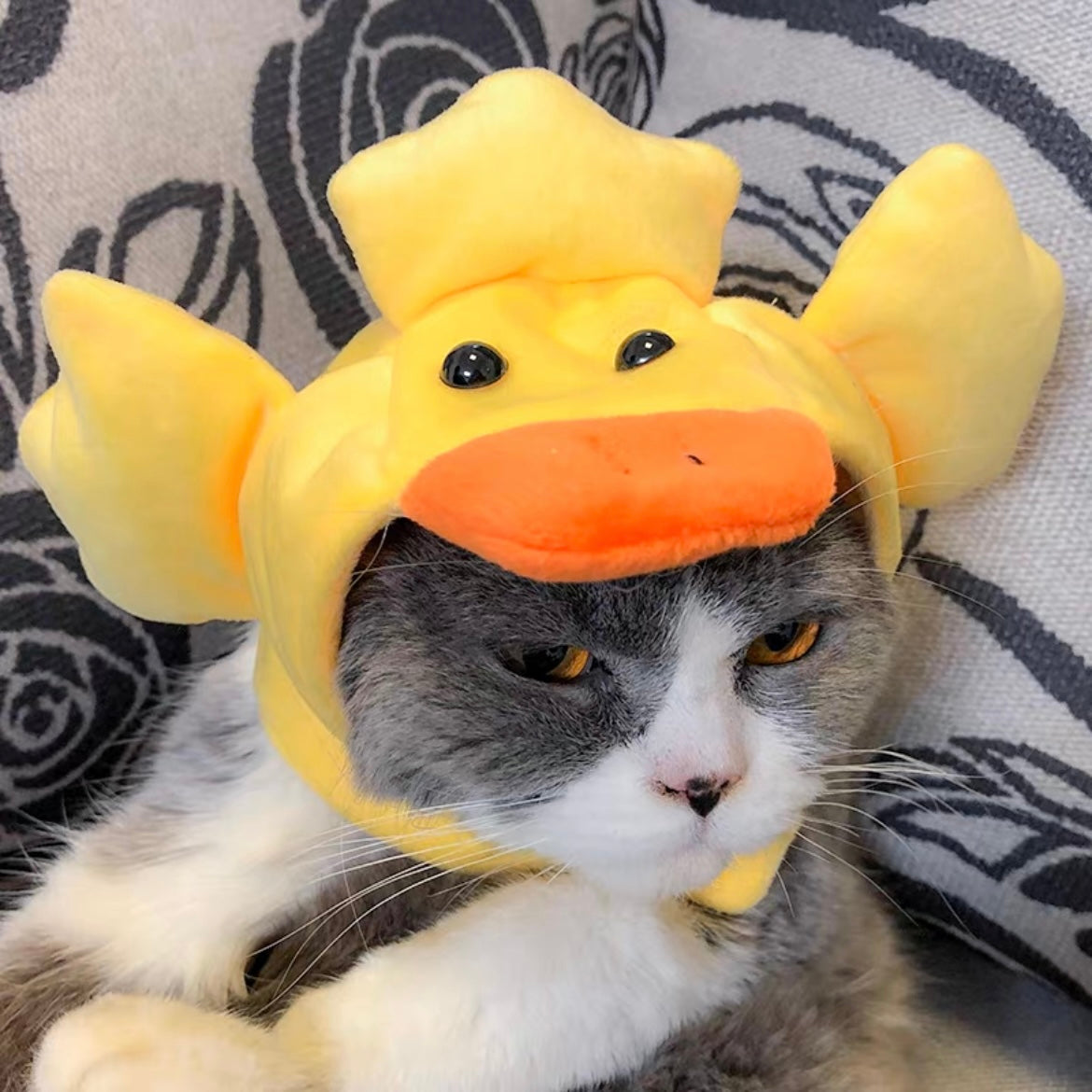 Duck Fuzzy Adjustable Pet Hat with Ear Holes for Cats and Dogs - Lil Wild Pets