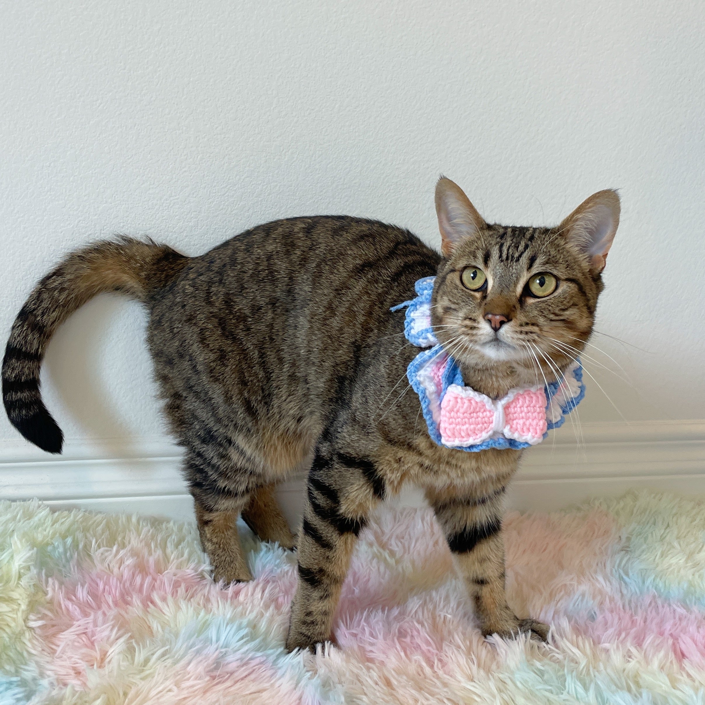 Pink hotsell bow collar