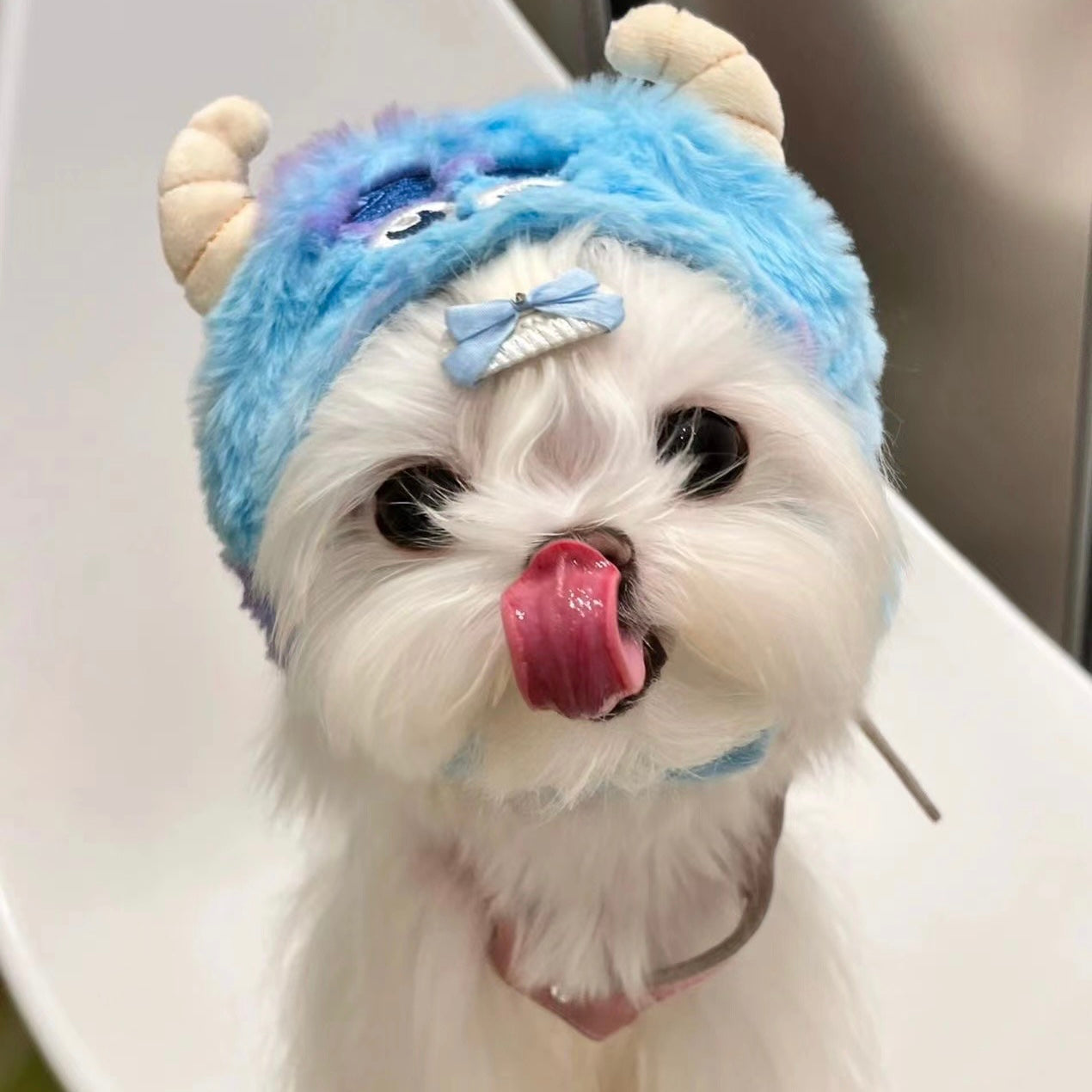 Dog winter hats with ear outlet holes