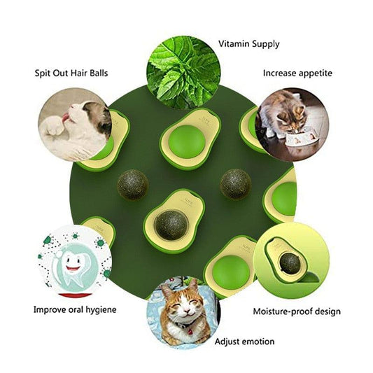 Edible Licking Avocado Catnip Wall Toy with Natural Organic Catnip - Lil Wild Pets