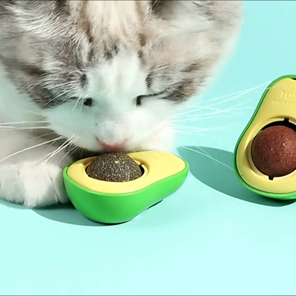 Edible Licking Catnip Toy with Natural Healthy Catnip Avocado Shaped