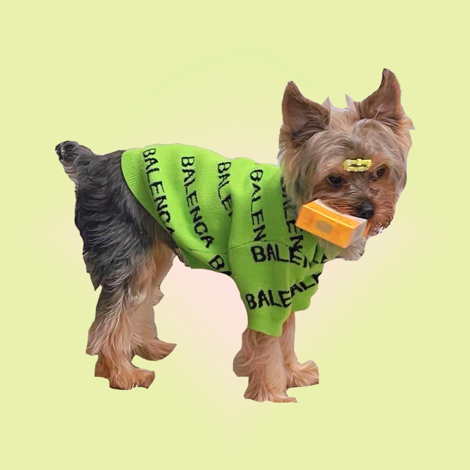 Fashion Icon Neon Green Sweater for Cats and Dogs - Lil Wild Pets