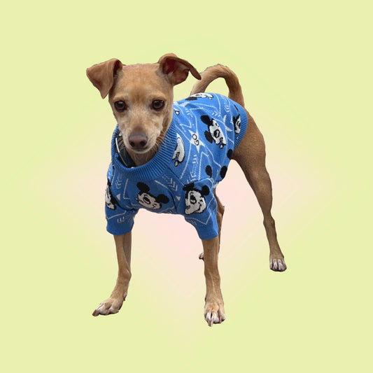 Micky Mouse Sweater for Cats and Dogs - Lil Wild Pets