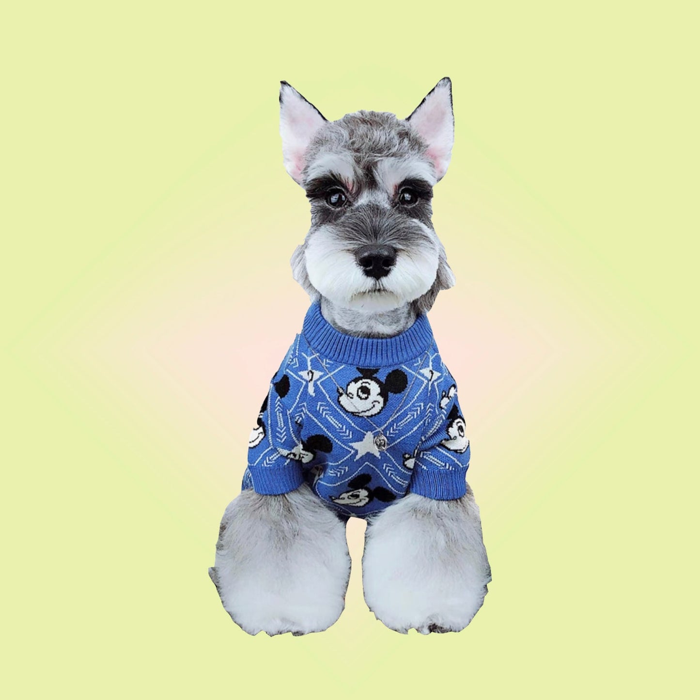 Micky Mouse Sweater for Cats and Dogs - Lil Wild Pets
