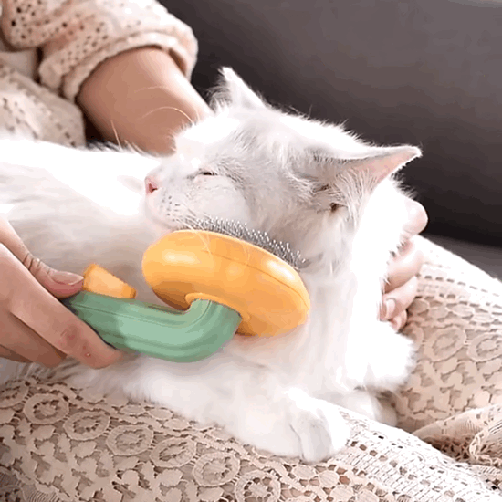 Self-Cleaning Pet Grooming One-Click Hair Brush