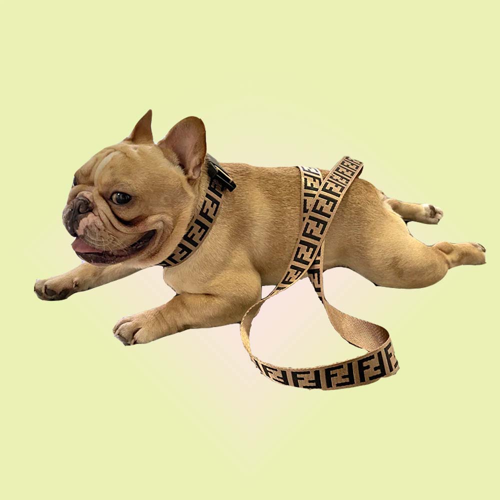 Fashion Icon FF Dog Collar Harness & Leash Walk Kit - Lil Wild Pets
