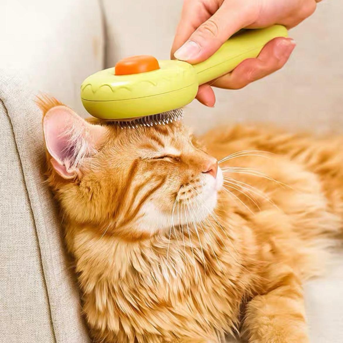Donut Self-Cleaning Pet Grooming One-Click Hair Brush - Lil Wild Pets