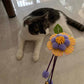 Lavender Blooming Flower Teaser Wand Toy for Cats - Lil Wild Pets