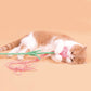 Teaser Toy - Flowers with Strings - Lil Wild Pets