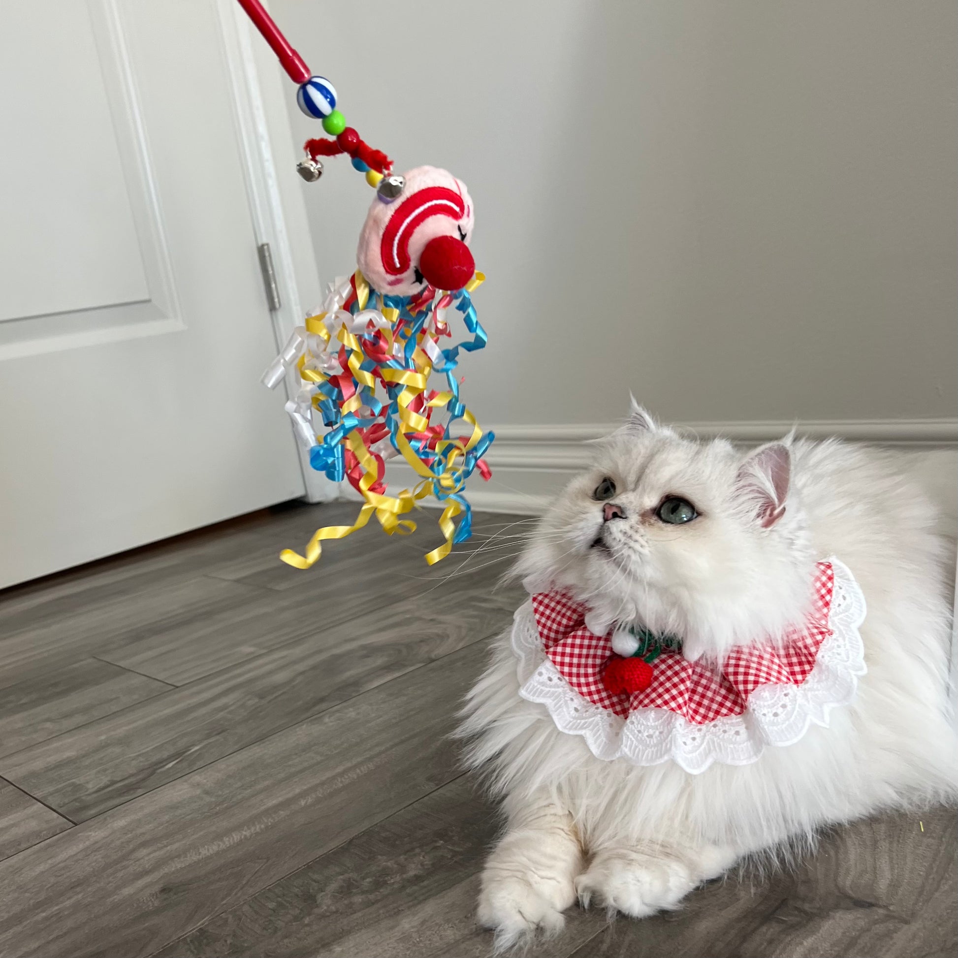 Teaser Toy - Extra-Long Clown Wand with Colorful Strings - Lil Wild Pets
