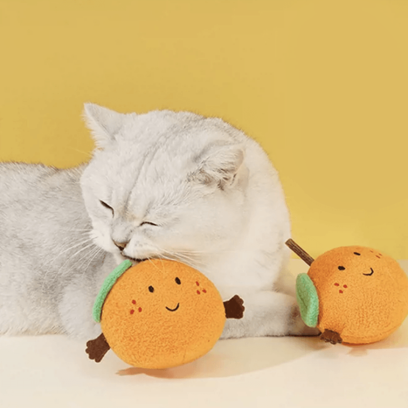 Orange Silvervine Stick Cat Chew Toy - Lil Wild Pets