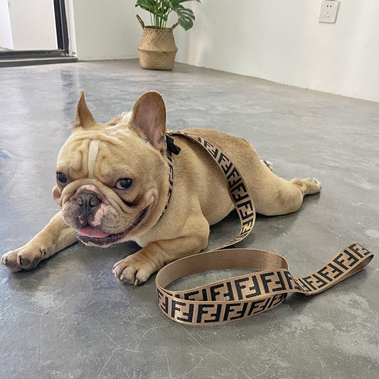 Fashion Icon FF Dog Collar Harness & Leash Walk Kit - Lil Wild Pets