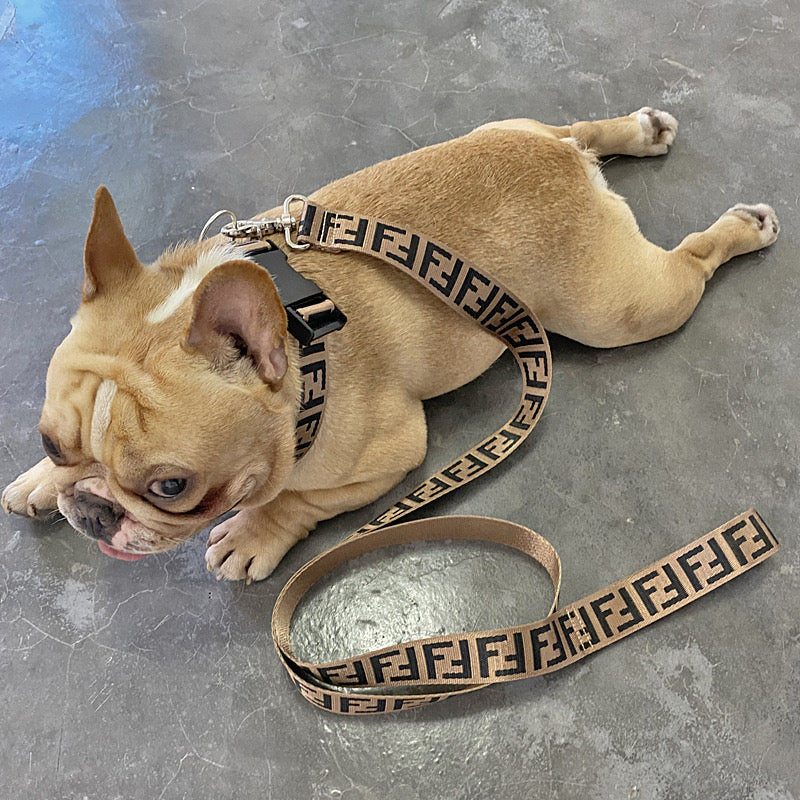 Fashion Icon FF Dog Collar Harness & Leash Walk Kit - Lil Wild Pets