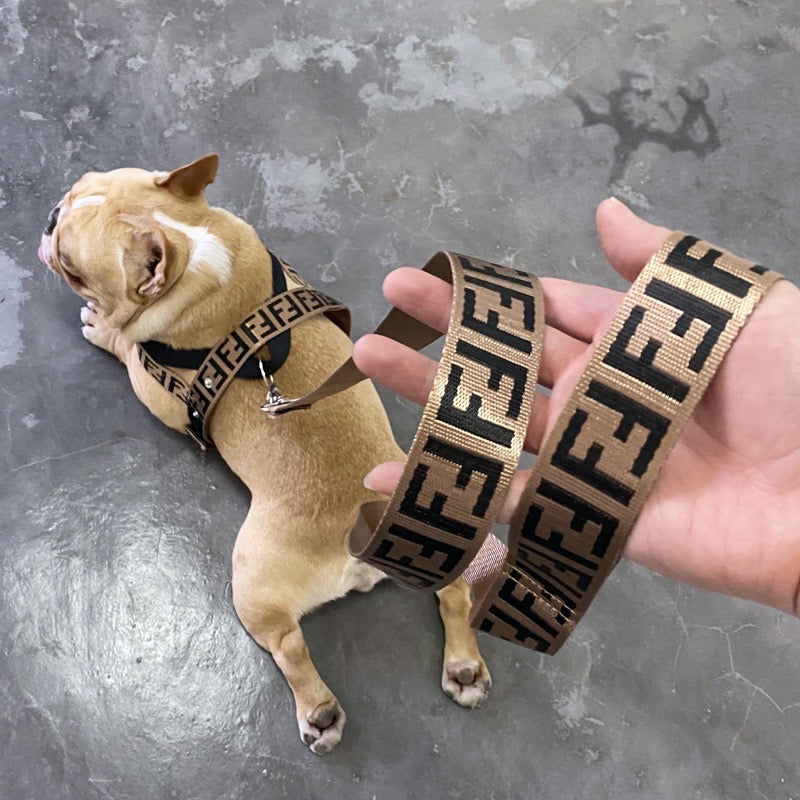 Fashion Icon FF Dog Collar Harness & Leash Walk Kit - Lil Wild Pets