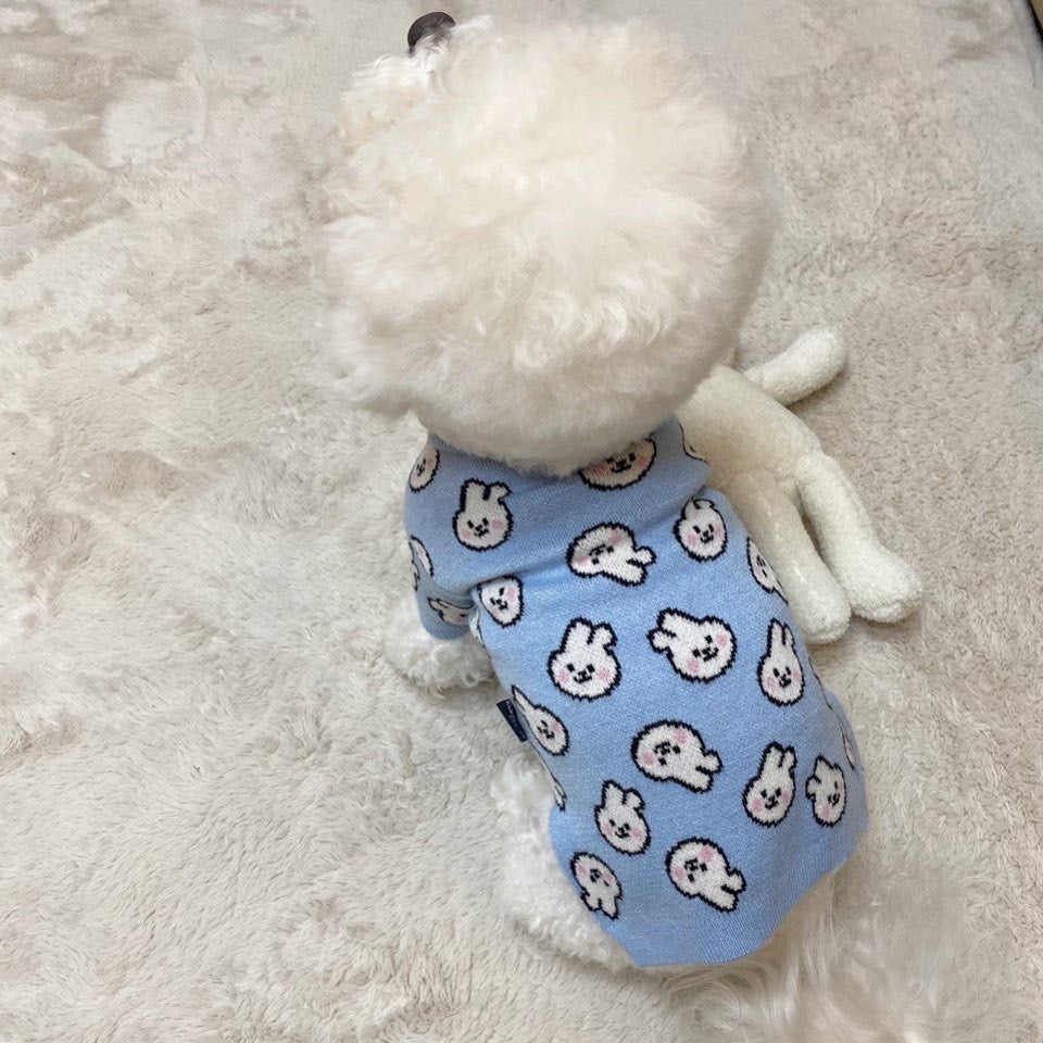 Blue Bunny Sweater for Dogs and Cats - Lil Wild Pets