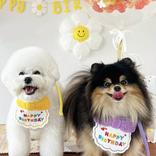 Pet Birthday Celebration Accessories Hat and Bib for Cats and Dogs - Lil Wild Pets