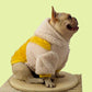 Spongebob Fluffy Fleece Teddy Hoodie for Cats and Dogs - Lil Wild Pets
