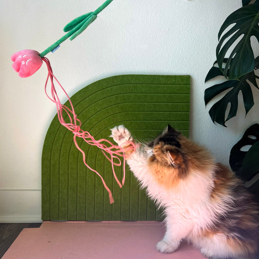 Teaser Toy - Flowers with Strings - Lil Wild Pets