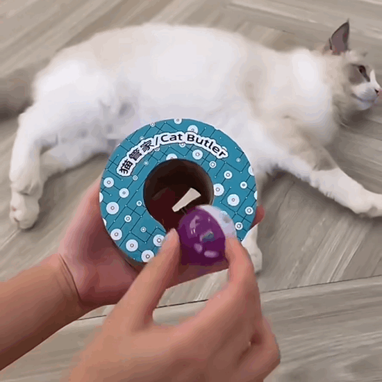 Cat Self-Play Foldable Donut Scratcher Tunnel Chaser Ball Toy - Lil Wild Pets