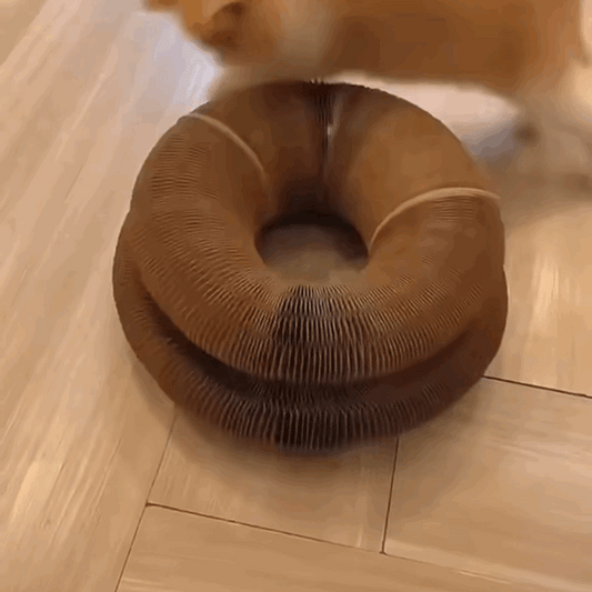 Cat Self-Play Foldable Donut Scratcher Tunnel Chaser Ball Toy - Lil Wild Pets