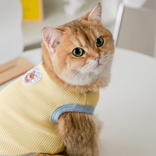 Summer Yellow Bear Vest for Cats and Dogs - Lil Wild Pets