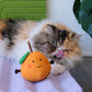 Orange Silvervine Stick Cat Chew Toy - Lil Wild Pets